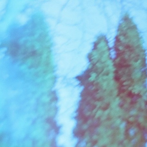 debussyfeedbacklupe