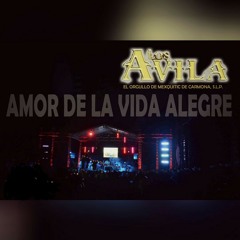 Mix Corridos Los Avila De Mexquitic SLP En Vivo2016