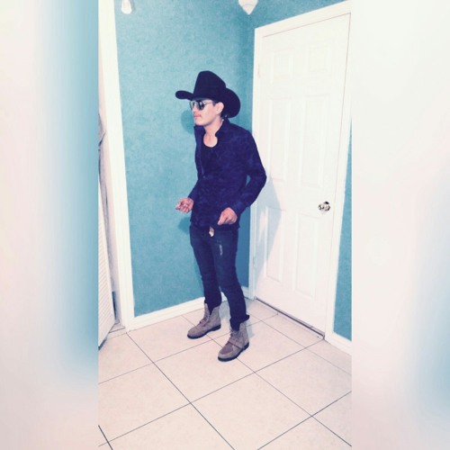 Te Hice Mal Los Principez De La Musica Norteña
