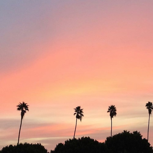 . a e s t h e t i c .