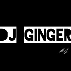 Borgore X Delta Heavy X Skrillex | 100s | White Flag(Tisoki Remix)| Purple Lamborghini|GINGER MIX