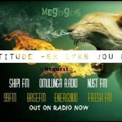 Magogoz - Ek Likes Jou  Ne