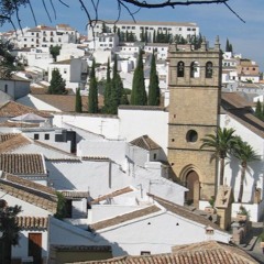 Sal Bonavita - Rumba - Cover