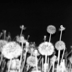 Deadendnight