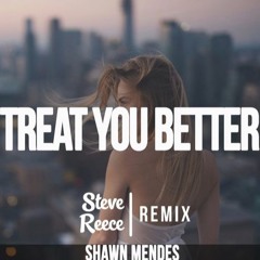 Shawn M3nd3s - Tr3at You B3tt3r (Steve Reece Remix)