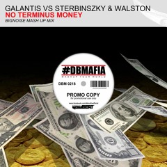 Galantis Vs Sterbinszky, Walston -  No Terminus Money (BigNoise Mashup)