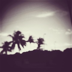 w a r m s o f t h a z y s u n