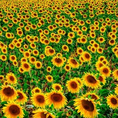 Holy Spirit, Thou Are Welcome In This Place