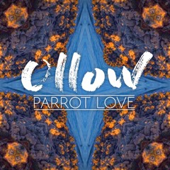 Parrot Love (Original Mix)