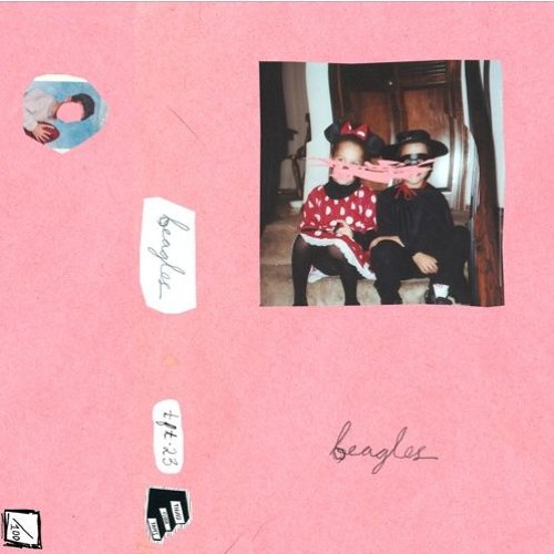 beagles - microwave light