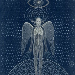 ƙɾყρƚαɳƚԋυʂ - ᙅᙓᖇᙓᙖᖇᙀᙏ OᙅᙅIᔕIOᑎIᔕ