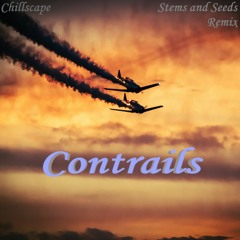 Chillscape - Contrails (Stems and Seeds Guitar Remix)