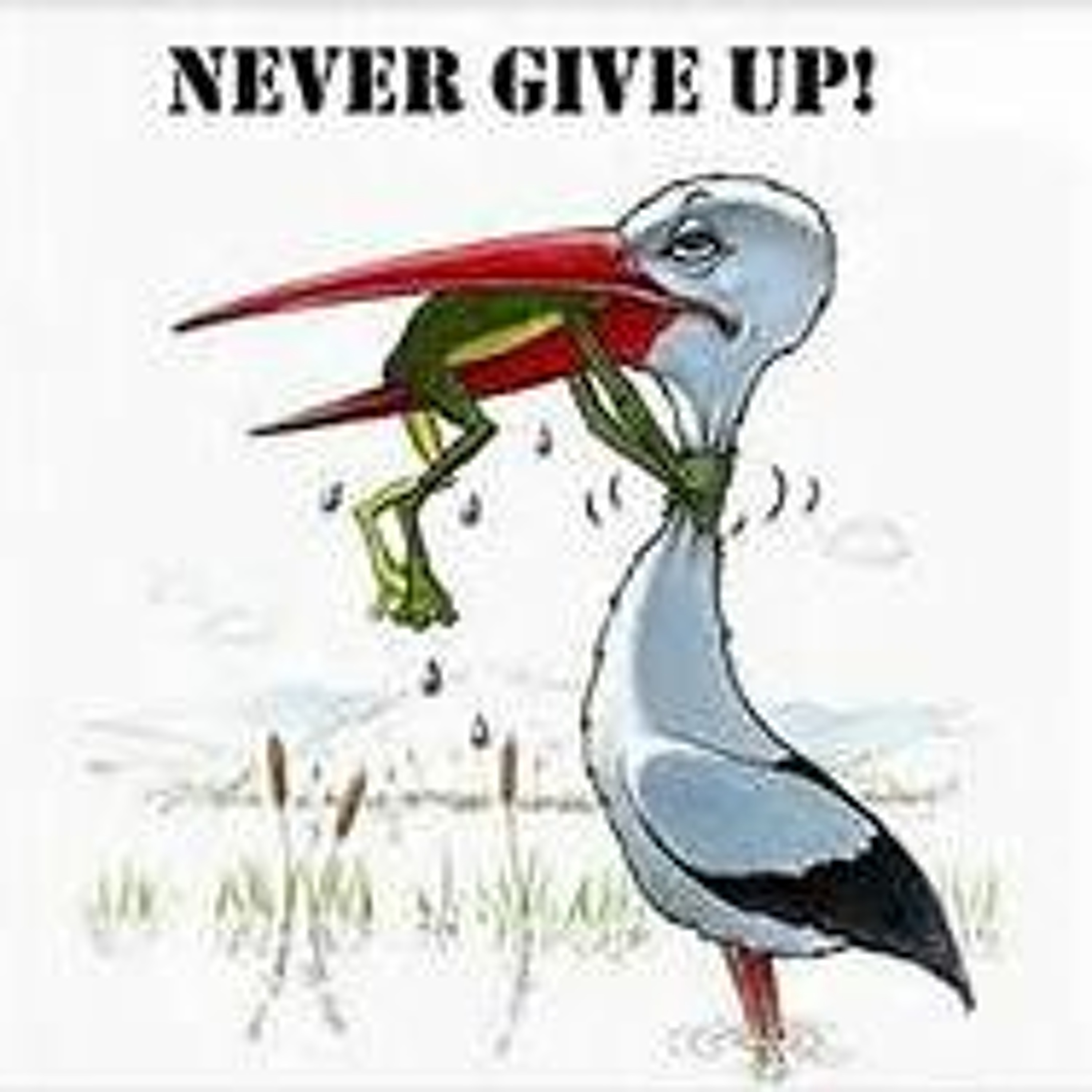 never give up episode artwork