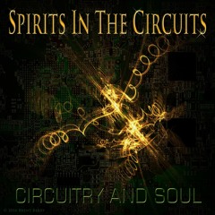 Spirits In The Circuits