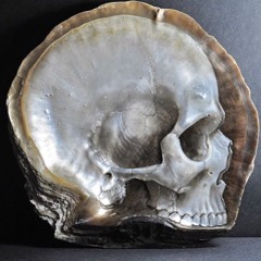 Where do we go from here By Devon Wright ft Maverick Sabre