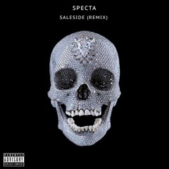 Specta - SaleSide (972 Remix)