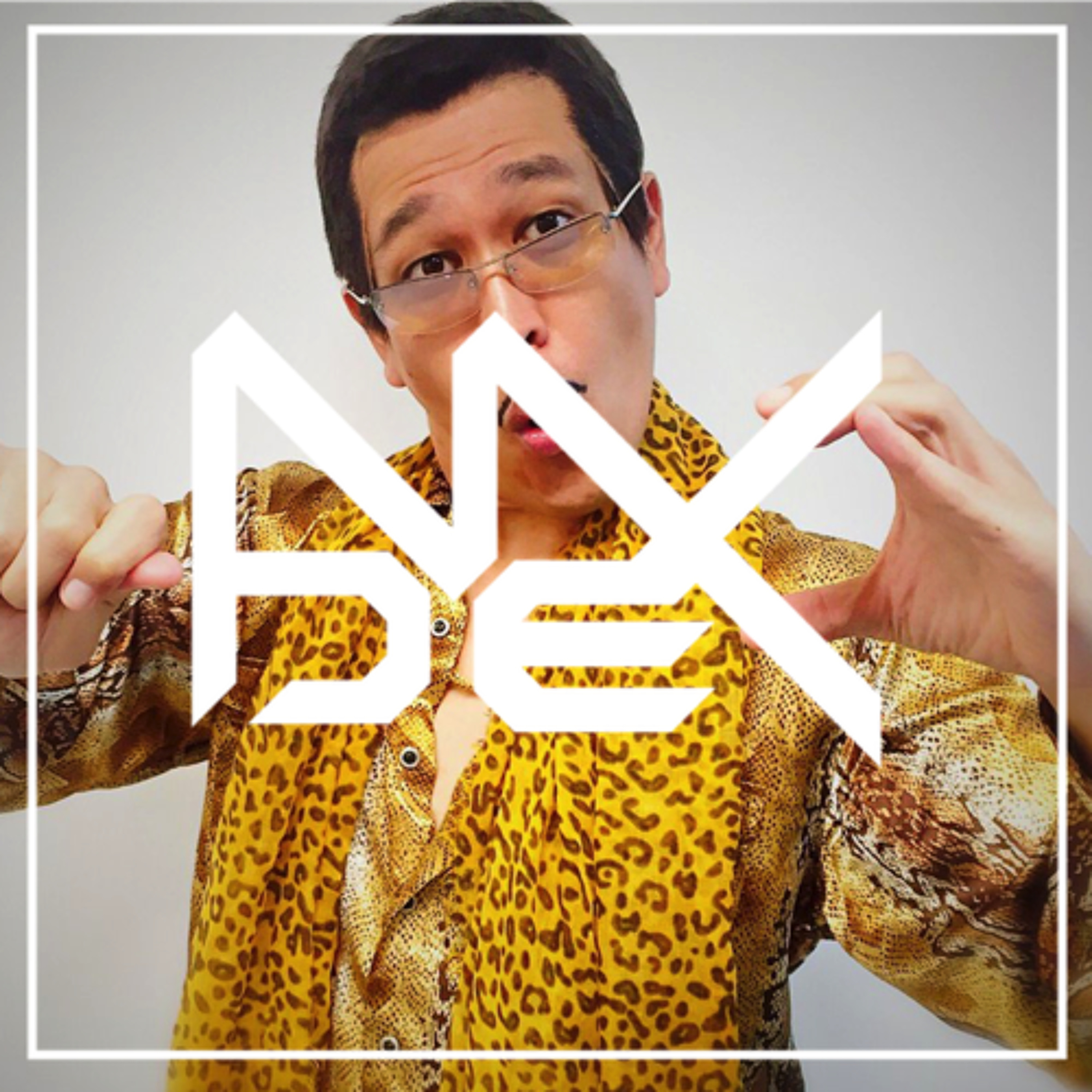 NDEX