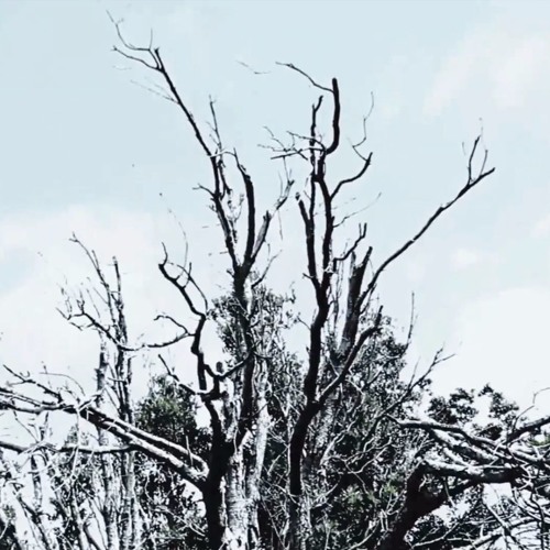 18 Oxygen - Glitch / Bleached (Rough from Jam)