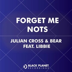 Julian Cross & Bear Ft Libbie - Forget Me Nots (Jobz Remix)