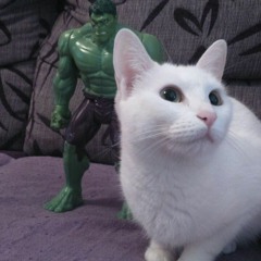 Your Look Is The Best