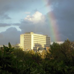 X_1 - L'Amour L'Echo