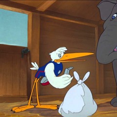 Stork
