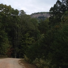 Walkin' with the Bee