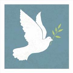 nokaadendamowin - peace