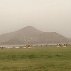 نشيد حسين الجسمي - تأملت والدنيا (مطولة) #إذا_المرء_لم_يرض_بما_ربه_وهب