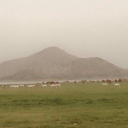 نشيد حسين الجسمي - تأملت والدنيا (مطولة) #إذا_المرء_لم_يرض_بما_ربه_وهب