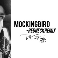 Mockingbird (Redneck Remix)