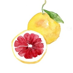 Grapefruit mix