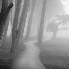 Vanishing Act