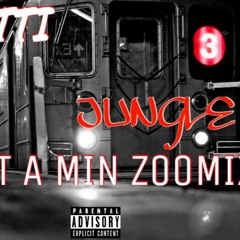 JUNGLE (WAIT A MIN ZOOMIX)