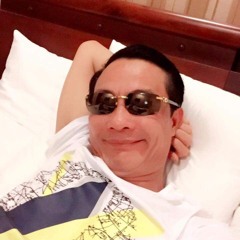gấu hay