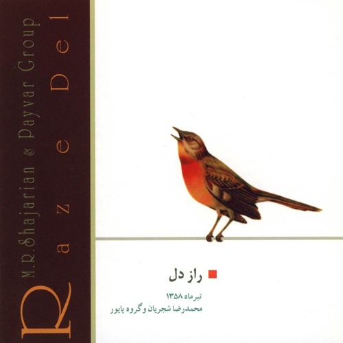 Saz-o-Avaz/ ساز و آواز - Raz-e-Del/ راز دل