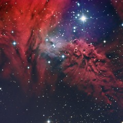 nebula love
