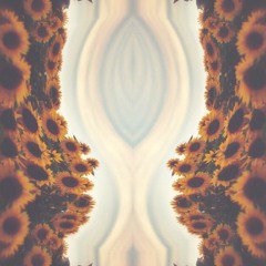 Amplificador Radio U - Camelolloide