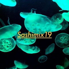 Sashimix19.1