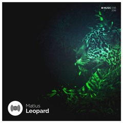 Matius - Leopard (Original Mix) OUT NOW
