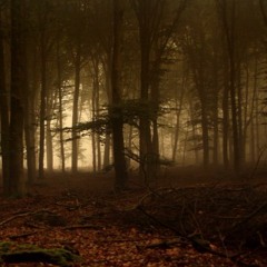 Fleetwood mac - Little lies Remix