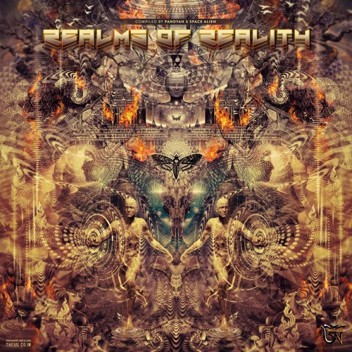 VA Realms of Reality by Trinetra Records