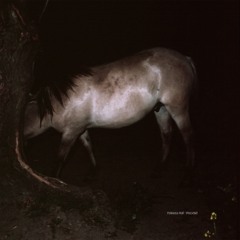 B3) Yaleesa Hall - Woodall 0406