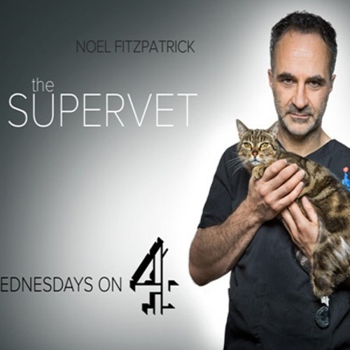 Stream BlipAudio Listen to The Supervet Series 2 (Channel 4) playlist