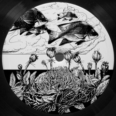Creme Eclipse 15 - Cosmic Garden - Cosmic Tape Vol. 1 (Orgue Electronique Remix) (7 Nov 2016)