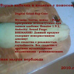Взрыв кабачка в коляске с поносом – Твой кот нанюхался нитрокраски и нарезает круги по МКАДу