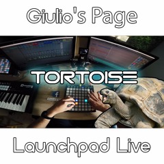 Tortoise - Giulio's Page Original - Launchpad Live mix