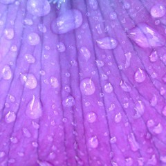 dj Hella - purple nail polish