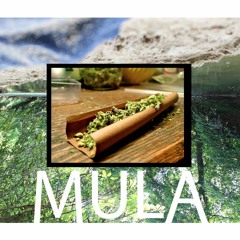 Der J (prod. Alann Rhythm)