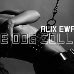 9 - The Dog Collar